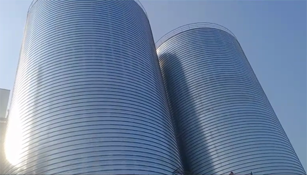 固镇2座混凝土高架卷板仓